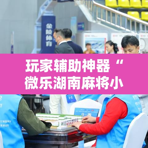 玩家辅助神器“微乐湖南麻将小程序必赢神器免费	”(透视挂)辅助透视教程