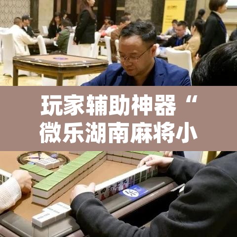 玩家辅助神器“微乐湖南麻将小程序必赢神器免费	”(透视挂)辅助透视教程