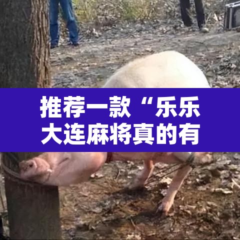 推荐一款“乐乐大连麻将真的有挂吗”其实确实有挂