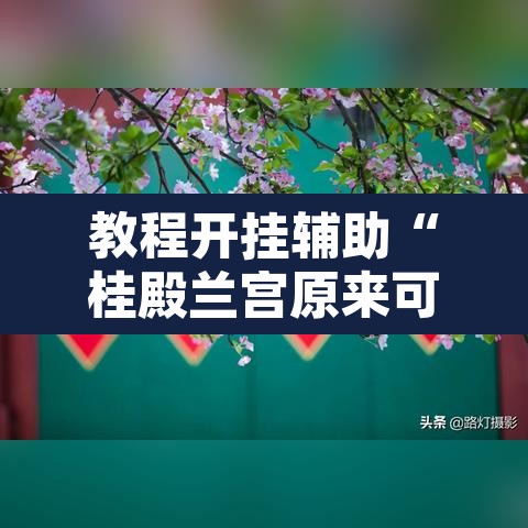 教程开挂辅助“桂殿兰宫原来可以开挂”附辅助神器开挂脚本详细步骤