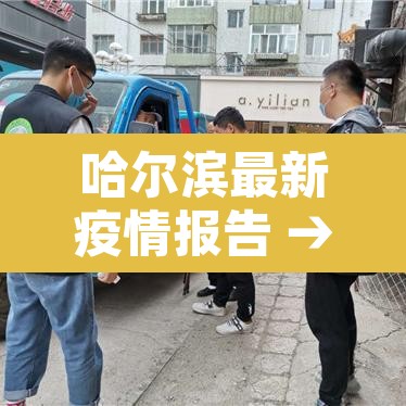 哈尔滨最新疫情报告 → 哈尔滨最新疫情病例 哈尔滨最新疫情报告 → 哈尔滨最新疫情病例