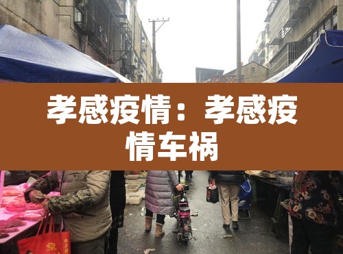 孝感疫情：孝感疫情车祸