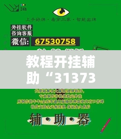 教程开挂辅助“31373游戏有没有挂”开挂辅助脚本+详细开挂安装教程