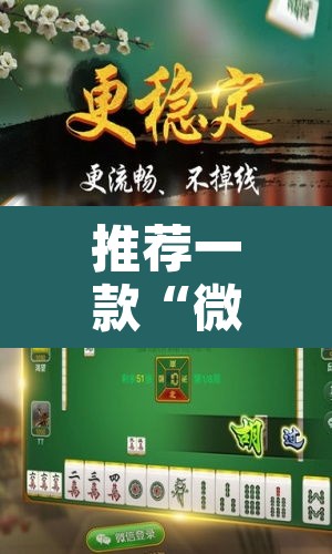 推荐一款“微乐河北麻将万能开挂器免费通用版”开挂辅助脚本+详细开挂安装教程