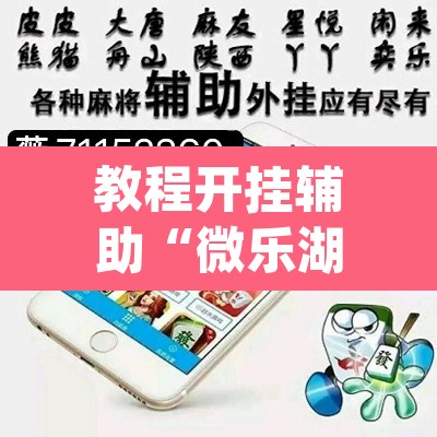 教程开挂辅助“微乐湖北麻将怎么提高胜率”(透视挂)辅助透视教程