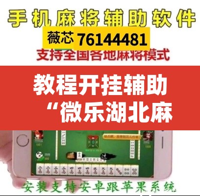 教程开挂辅助“微乐湖北麻将怎么提高胜率	”(透视挂)辅助透视教程