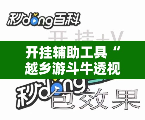 开挂辅助工具“越乡游斗牛透视”开挂辅助脚本+详细开挂安装教程