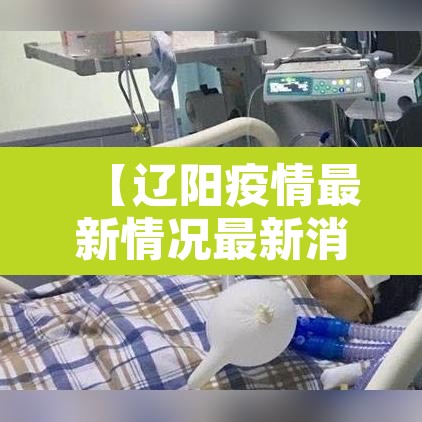 【辽阳疫情最新情况最新消息·辽阳县最新疫情数据】