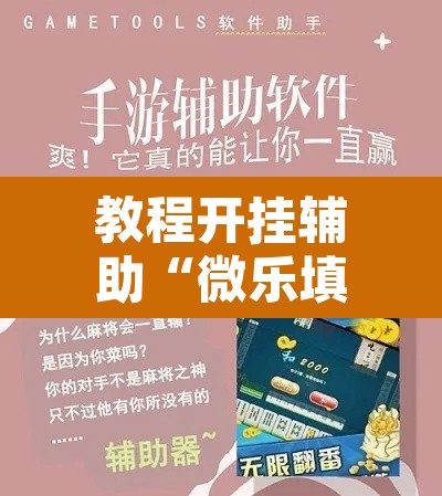 教程开挂辅助“微乐填大坑可以开挂吗”其实确实有挂