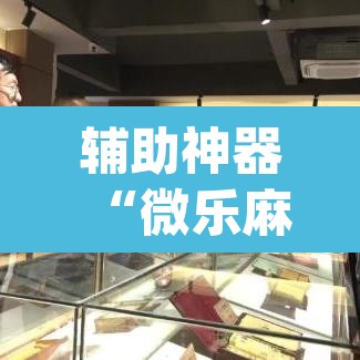 辅助神器“微乐麻将挂先试用后付款”(透视挂)辅助透视教程