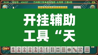 开挂辅助工具“天天黄石麻将可以开挂吗	”(透视)其实确实有挂