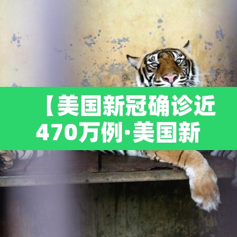 【美国新冠确诊近470万例·美国新冠确诊近697万例】