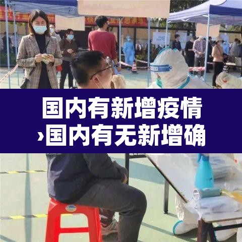国内有新增疫情›国内有无新增确诊