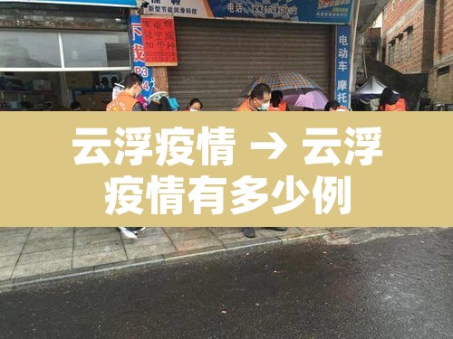 云浮疫情 → 云浮疫情有多少例