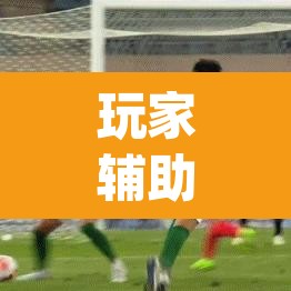 玩家辅助神器“海港玩摆头注如何开挂”(透视挂)辅助透视教程