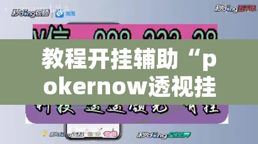 教程开挂辅助“pokernow透视挂方法”其实确实有挂