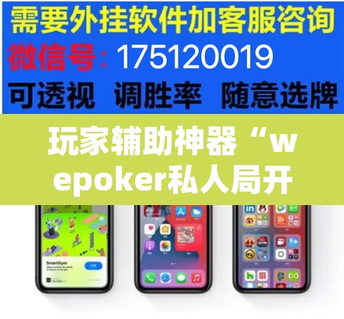 玩家辅助神器“wepoker私人局开挂透视	”(透视)其实确实有挂