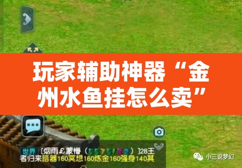 玩家辅助神器“金州水鱼挂怎么卖”其实确实有挂