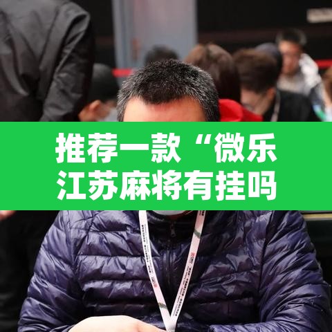 推荐一款“微乐江苏麻将有挂吗”附辅助神器开挂脚本详细步骤