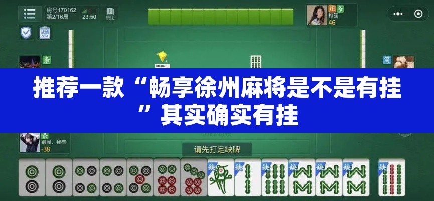 推荐一款“畅享徐州麻将是不是有挂”其实确实有挂