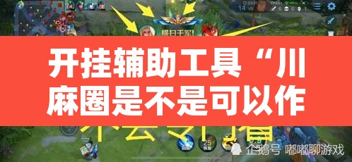开挂辅助工具“川麻圈是不是可以作弊”其实确实有挂