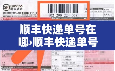 顺丰快递单号在哪›顺丰快递单号在哪里查询