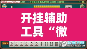 开挂辅助工具“微乐海南麻将开挂神器”其实确实有挂