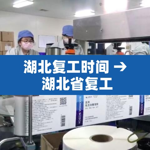 湖北复工时间 → 湖北省复工