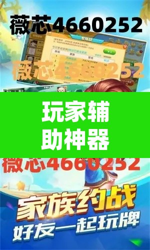 玩家辅助神器“德扑之星确实是真的有透视挂	”(透视)其实确实有挂