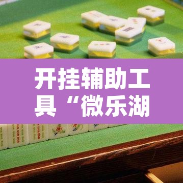 开挂辅助工具“微乐湖南麻将万能开挂器免费”开挂辅助脚本+详细开挂安装教程
