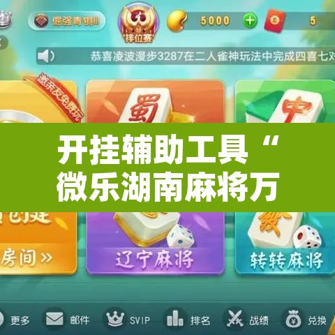 开挂辅助工具“微乐湖南麻将万能开挂器免费”开挂辅助脚本+详细开挂安装教程