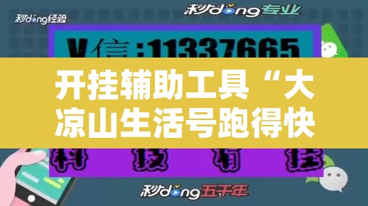 开挂辅助工具“大凉山生活号跑得快怎么开挂”其实确实有挂