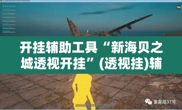 开挂辅助工具“新海贝之城透视开挂”(透视挂)辅助透视教程