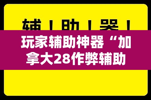 玩家辅助神器“加拿大28作弊辅助挂”(透视挂)辅助透视教程