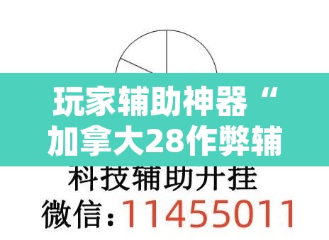 玩家辅助神器“加拿大28作弊辅助挂”(透视挂)辅助透视教程