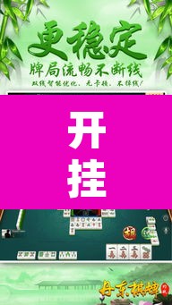 开挂辅助工具“微乐山西麻将有挂吗”其实确实有挂