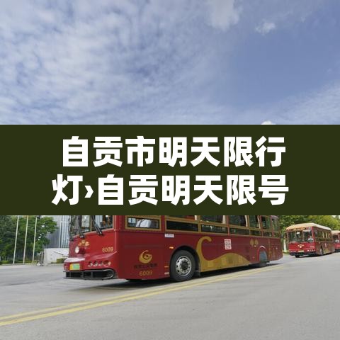 自贡市明天限行灯›自贡明天限号几和几