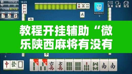 教程开挂辅助“微乐陕西麻将有没有挂”开挂辅助脚本+详细开挂安装教程
