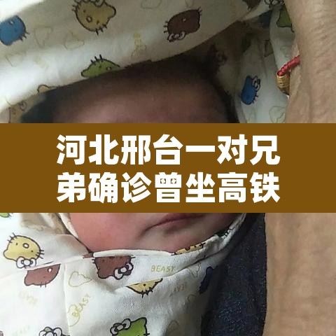 河北邢台一对兄弟确诊曾坐高铁 → 河北邢台发现一例