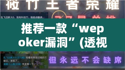 推荐一款“wepoker漏洞”(透视)其实确实有挂