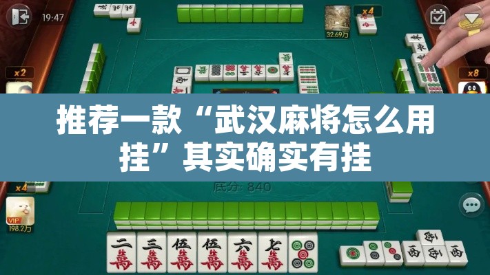 推荐一款“武汉麻将怎么用挂	”其实确实有挂