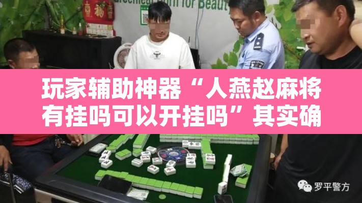 玩家辅助神器“人燕赵麻将有挂吗可以开挂吗”其实确实有挂