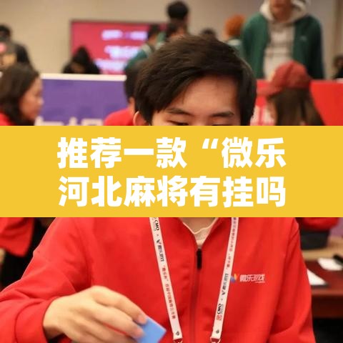 推荐一款“微乐河北麻将有挂吗”开挂辅助脚本+详细开挂安装教程