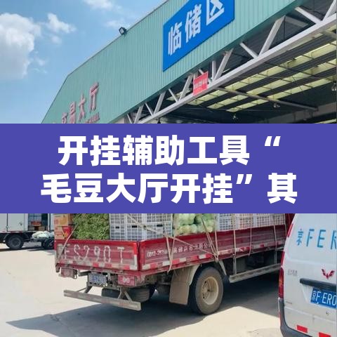 开挂辅助工具“毛豆大厅开挂	”其实确实有挂