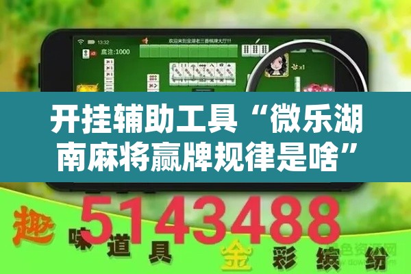 开挂辅助工具“微乐湖南麻将赢牌规律是啥	”(透视)其实确实有挂