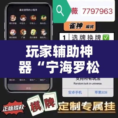 玩家辅助神器“宁海罗松如何开挂	”开挂辅助脚本+详细开挂安装教程