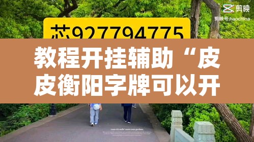 教程开挂辅助“皮皮衡阳字牌可以开挂”其实确实有挂