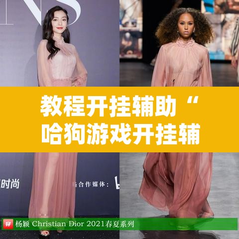 教程开挂辅助“哈狗游戏开挂辅助软件”(透视)其实确实有挂