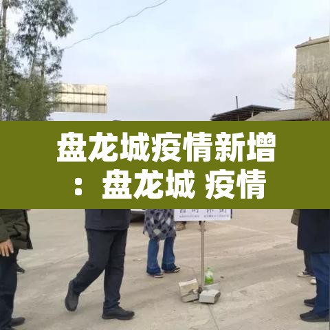 盘龙城疫情新增：盘龙城 疫情