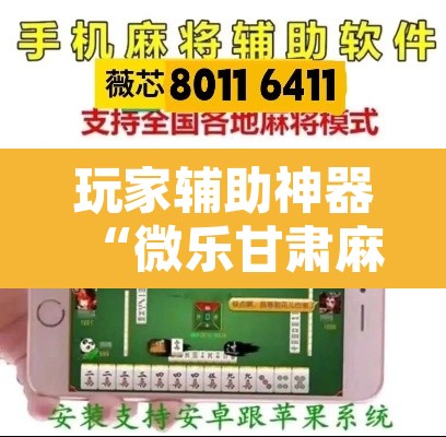 玩家辅助神器“微乐甘肃麻将万能开挂器	”开挂辅助脚本+详细开挂安装教程